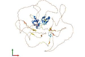 AlphaFold protein structure predicition of Human Recombinant LARP4 Protein, UniprotID Q71RC2 (LARP4 Protein (AA 1-724) (His tag))