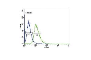 DRD4 Antibody (Center) (ABIN652706 and ABIN2842469) flow cytometric analysis of CEM cells (right histogram) compared to a negative control cell (left histogram). (DRD4 antibody  (AA 365-391))