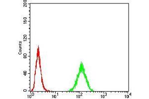 Flow cytometric analysis of Hela cells using Rab13 mouse mAb (green) and negative control (red).