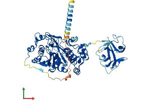 Protein Structure (PS) image for Williams-Beuren Syndrome Chromosome Region 17 (WBSCR17) (AA 1-558) protein (His tag) (ABIN7561569)