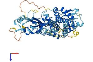 AlphaFold protein structure predicition of Mouse Recombinant Gsdma2 Protein, UniprotID Q32M21 (Gasdermin A2 Protein (GSDMA2) (AA 1-443) (His tag))