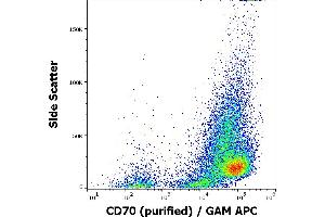 Flow cytometry surface staining pattern of HUT-78 cells stained using anti-human CD70 (Ki-24) purified antibody (concentration in sample 1 μg/mL) GAM APC.