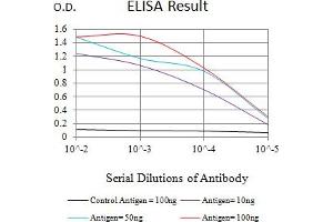 Black line: Control Antigen (100 ng),Purple line: Antigen (10 ng), Blue line: Antigen (50 ng), Red line:Antigen (100 ng) (Calpain 2 antibody  (AA 489-700))