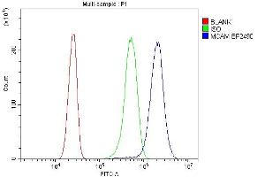 Flow Cytometry analysis of Neuro-2a cells using anti-MCAM antibody (ABIN7601026). (MCAM antibody  (AA 27-621))