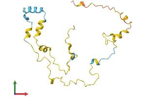 AlphaFold protein structure predicition of Human Recombinant TEX36 Protein, UniprotID Q5VZQ5