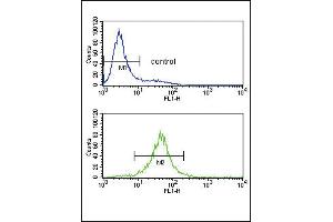 Flow cytometry analysis of Jurkat cells (bottom histogram) compared to a negative control cell (top histogram). (IL-10 antibody  (AA 27-53))