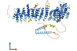 Protein Structure (PS) image for EFR3 Homolog A (EFR3A) (AA 1-819) protein (His tag) (ABIN7564333)
