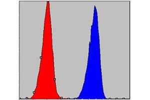 Flow cytometric analysis of A-549 cells using CHUK monoclonal antibody, clone 3G12H9  (blue) and negative control (red).