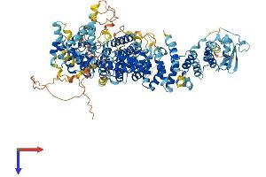 AlphaFold protein structure predicition of Mouse Recombinant Abtb2 Protein, UniprotID Q7TQI7