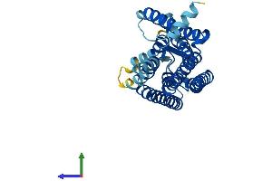 AlphaFold protein structure predicition of Human Recombinant OR5AC1 Protein, UniprotID P0C628 (OR5AC1 Protein (AA 1-307) (His tag))