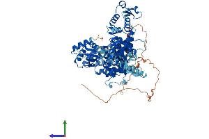 AlphaFold protein structure predicition of Mouse Recombinant Hectd2 Protein, UniprotID Q8CDU6 (HECTD2 Protein (AA 1-774) (His tag))