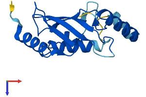 AlphaFold protein structure predicition of Human Recombinant UBE2NL Protein, UniprotID Q5JXB2