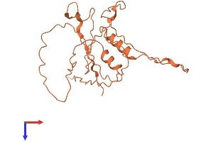 Protein Structure (PS) image for Zinc Finger Protein 365 (ZNF365) (AA 1-216) protein (His tag) (ABIN7544229)