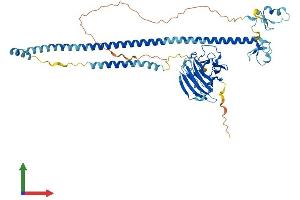 AlphaFold protein structure predicition of Human Recombinant TRIM16 Protein, UniprotID O95361 (TRIM16 Protein (AA 1-564) (His tag))