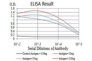 Black line: Control Antigen (100 ng), Purple line: Antigen(10 ng), Blue line: Antigen (50 ng), Red line: Antigen (100 ng),