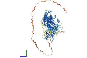 Protein Structure (PS) image for Dynamin 3 (DNM3) (AA 1-863) protein (His tag) (ABIN7564473)