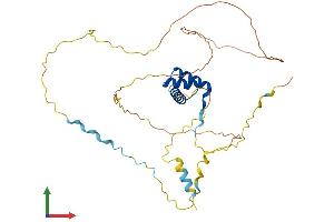 AlphaFold protein structure predicition of Mouse Recombinant Gbx2 Protein, UniprotID P48031