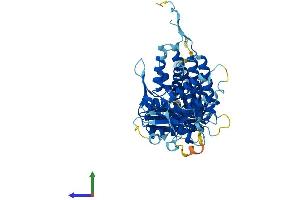 AlphaFold protein structure predicition of Human Recombinant MKKS Protein, UniprotID Q9NPJ1 (MKKS Protein (AA 1-570) (His tag))