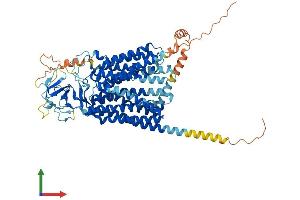 AlphaFold protein structure predicition of Human Recombinant SLCO1B1 Protein, UniprotID Q9Y6L6
