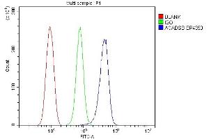 Flow Cytometry analysis of RH-35 cells using anti-SBCAD/ACADSB antibody (ABIN7602837). (ACADSB antibody  (C-Term))