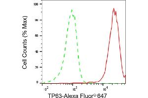 Flow cytometric analysis of TP63 expression in HaCaT cells using TP63 antibody (ABIN7800693), 1:2,000).