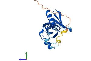 AlphaFold protein structure predicition of Mouse Recombinant Plekhj1 Protein, UniprotID Q9D240