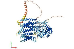 AlphaFold protein structure predicition of Human Recombinant DPY19L2 Protein, UniprotID Q6NUT2