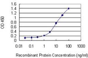 Detection limit for recombinant GST tagged AXIN2 is 0. (AXIN2 antibody  (AA 611-710))