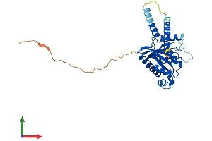 AlphaFold protein structure predicition of Human Recombinant GIMAP6 Protein, UniprotID Q6P9H5