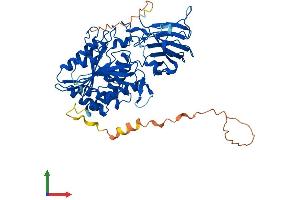 AlphaFold protein structure predicition of Human Recombinant AGBL4 Protein, UniprotID Q5VU57 (AGBL4 Protein (AA 1-503) (His tag))