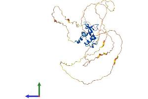 Protein Structure (PS) image for ELK1, Member of ETS Oncogene Family (ELK1) (AA 1-429) protein (His tag) (ABIN7563237)