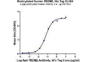 Immobilized Biotinylated Human TREM2, His Tag at 2 μg/mL (100 μL/Well) on the plate.