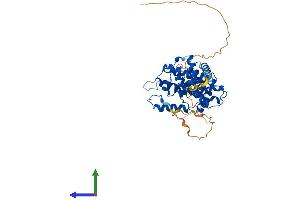 AlphaFold protein structure predicition of Mouse Recombinant Ccne1 Protein, UniprotID Q61457 (Cyclin E1 Protein (CCNE1) (AA 1-408) (His tag))