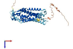 AlphaFold protein structure predicition of Human Recombinant P2RY11 Protein, UniprotID Q96G91 (P2RY11 Protein (AA 1-374) (His tag))