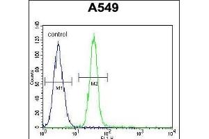 TDRD7 Antibody (C-term) (ABIN654935 and ABIN2844578) flow cytometric analysis of A549 cells (right histogram) compared to a negative control cell (left histogram). (TDRD7 antibody  (C-Term))