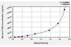 Typical standard curve (Cathepsin B ELISA Kit)