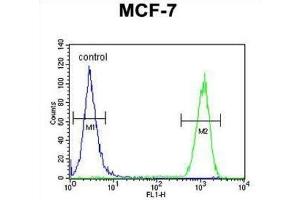 Flow Cytometry (FACS) image for anti-Cyclin T1 (CCNT1) antibody (ABIN2995766)