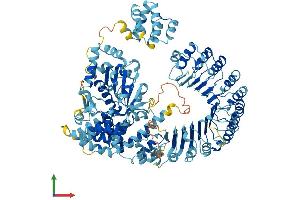 AlphaFold protein structure predicition of Mouse Recombinant Nlrc4 Protein, UniprotID Q3UP24 (NLRC4 Protein (AA 1-1024) (His tag))