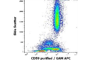 Flow cytometry surface staining pattern of human peripheral blood stained using anti-human CD59 (MEM-43/5) purified antibody (concentration in sample 0. (CD59 antibody)