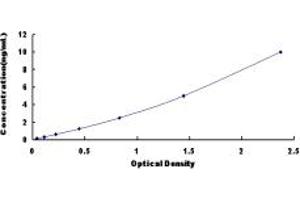Typical standard curve (Neurexophilin 1 ELISA Kit)