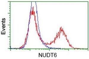 HEK293T cells transfected with either RC203470 overexpress plasmid (Red) or empty vector control plasmid (Blue) were immunostained by anti-NUDT6 antibody (ABIN2454221), and then analyzed by flow cytometry.