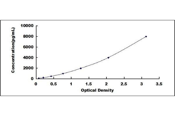 HSPG2 ELISA Kit