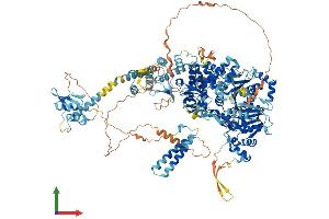 AlphaFold protein structure predicition of Human Recombinant DHX29 Protein, UniprotID Q7Z478 (DHX29 Protein (AA 1-1369) (His tag))