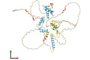 Protein Structure (PS) image for IKAROS Family Zinc Finger 2 (IKZF2) (AA 1-526) protein (His tag) (ABIN7548552)