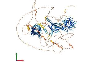 Protein Structure (PS) image for FYVE, RhoGEF and PH Domain Containing 1 (FGD1) (AA 1-961) protein (His tag) (ABIN7553948)