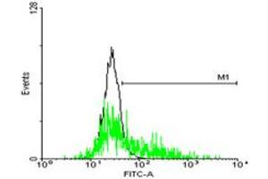 FACS analysis of negative control 293 cells (Black) and GPR143 expressing 293 cells (Green) using GPR143 purified MaxPab mouse polyclonal antibody.