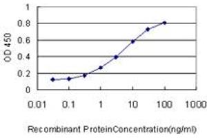 Detection limit for recombinant GST tagged NOTCH3 is approximately 0. (NOTCH3 antibody  (AA 47-156))