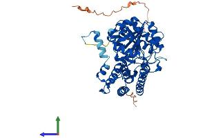 Protein Structure (PS) image for ACC Synthase-Like Protein 1 (ACCS) (AA 1-502) protein (His tag) (ABIN7561916)