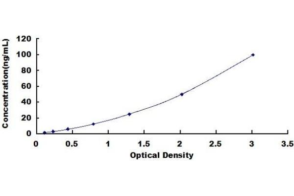 THBS3 ELISA Kit