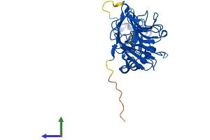 AlphaFold protein structure predicition of Mouse Recombinant Rfpl4a Protein, UniprotID Q8VH31 (RFPL4A Protein (AA 1-287) (His tag))